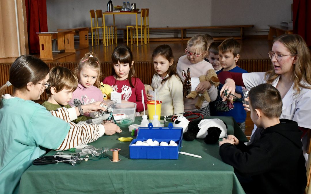 Delavnice projekta BOLNIŠNICA MEDIMEDO
