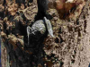 image000005-3